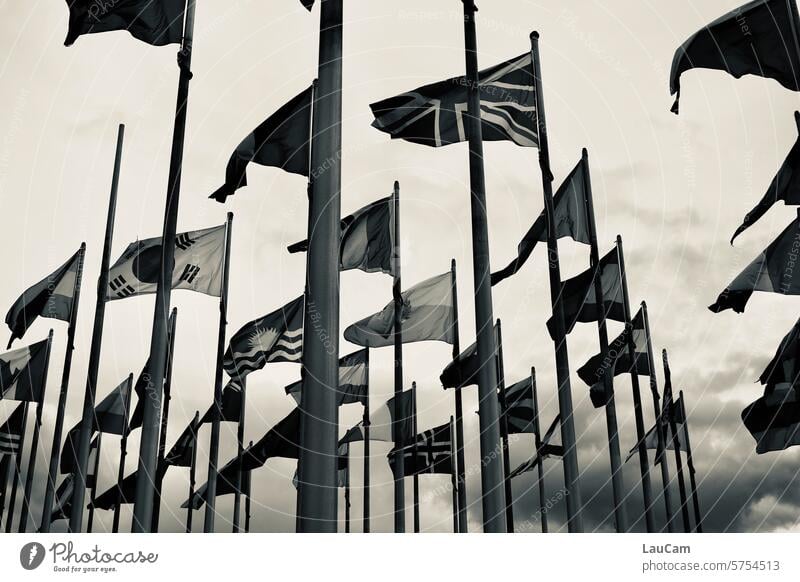 United Nations Flags National flags Europe Asia Americas Wind blow in the wind Flags in the wind cloudy Clouds Blow Judder Ensign Flagpole Flagpoles