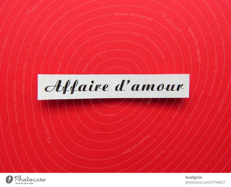 Affair d' amour Love Text Emotions Couple Betray affair underhand go outside Infatuation Request Lovers Together Affection Romance Relationship Man Woman desire