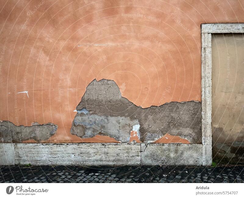 Damaged plaster on a façade with door frame and cobblestones Wall (building) House (Residential Structure) house wall corrupted Facade Building Exterior shot