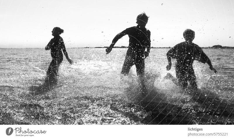 Water strider - three children running through water against the light Running Walking splash Joy Back-light Sun