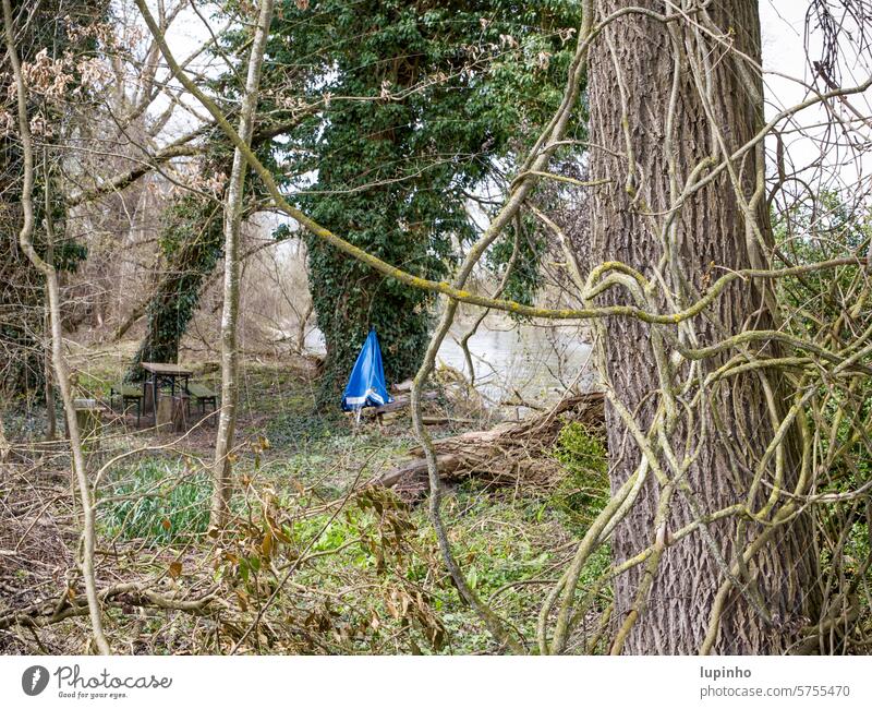 Blue parasol leaning against an ivy-covered tree Sunshade Tree Willow tree Ivy Ale bench beer table Old Vines River Bavaria bank Wild spring Green Nature