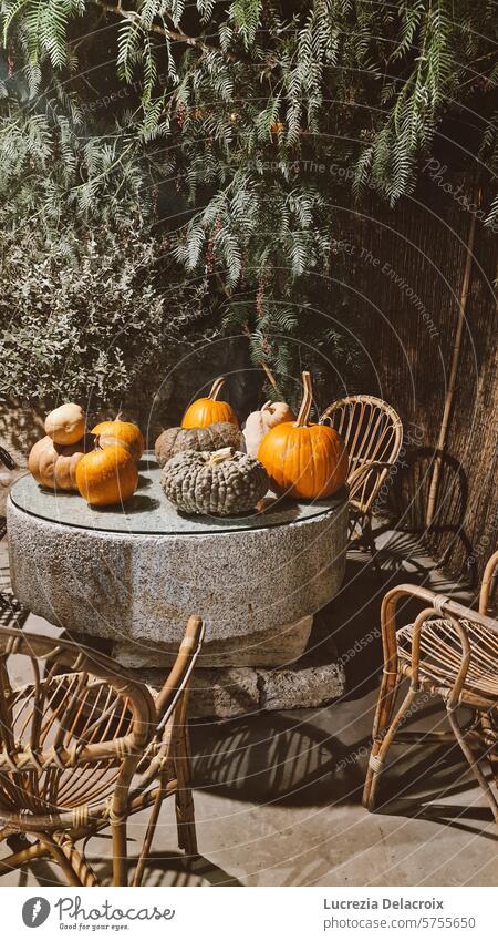pumpkins and fall atmosphere leaves wood cozy autumn ambient table trees green orange decor home design interior design seasonal thanksgiving october decoration