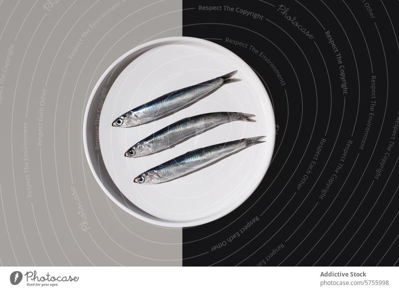 From above of three silvery fresh anchovies aligned on a white round plate, artfully divided by a yin yang background of black and gray anchovy trio fish