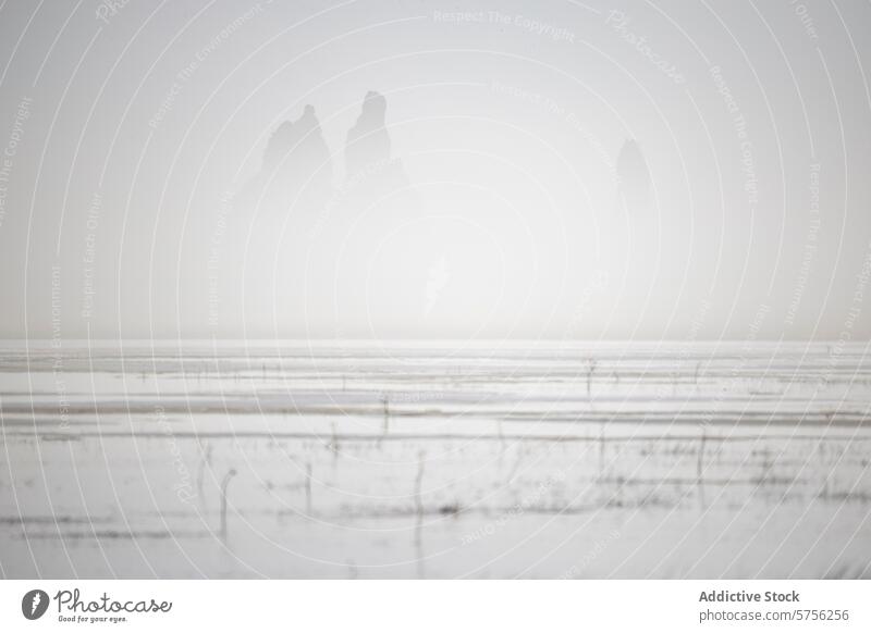 Silhouettes of mountains in a misty Icelandic scene iceland landscape silhouette terrain nature cold fog weather haze tranquil serene minimalist nordic scenic