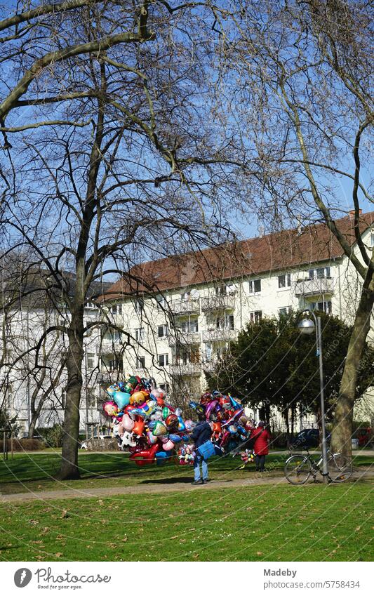 Balloon seller in spring with blue sky and sunshine in the park at the Friedberger Anlage in the city center of Frankfurt am Main in Hesse Treetop Season Botany