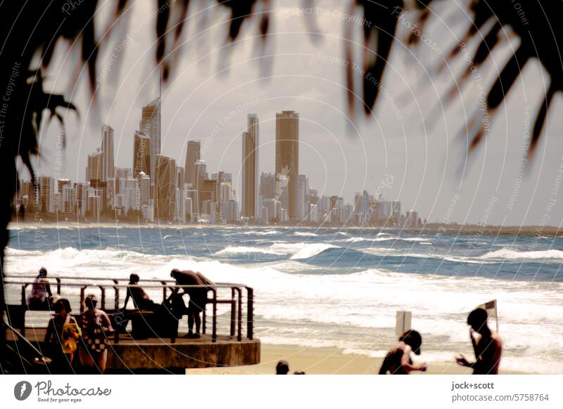 Summer day - South Sea surf with skyline South Pacific viewing platform Silhouette Surfers Paradise Panorama (View) Queensland Australia Skyline Sunlight