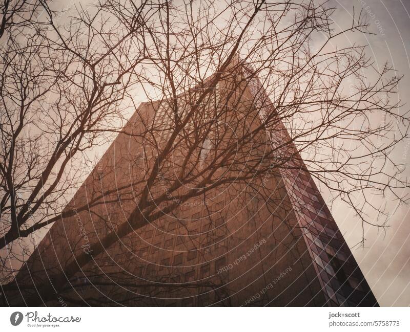 Giant behind bare branches and twigs City-Hochhaus Leipzig High-rise Sky Monochrome Modern Twigs and branches bare tree Building Gloomy Style Tall Downtown