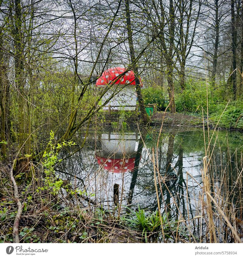 Toadstool house by the lake Amanita mushroom House (Residential Structure) Kiosk 50s Lake reflection Forest trees Spring Surface of water Idyll Lakeside