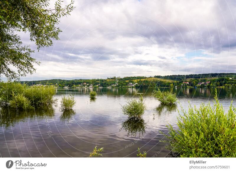 View of Lake Möhne near Körbecke Möhnesee Lake Möhne dam Water Nature Landscape cloudy Clouds Summer Evening Calm Sky Lakeside Environment Twilight Light