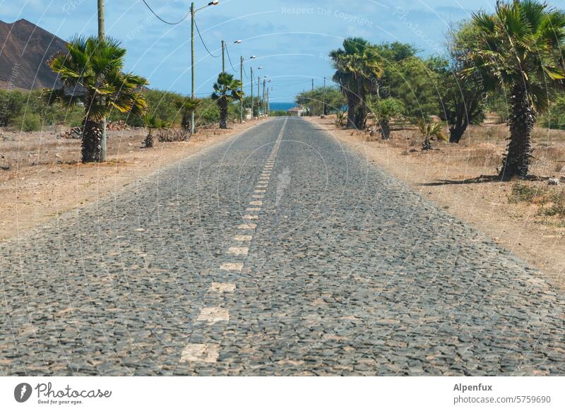 Roads of Cabo Verde III Street Cobbled pathway paved road Lanes & trails Paving stone Structures and shapes Pavement Cobblestones Exterior shot Deserted Pattern