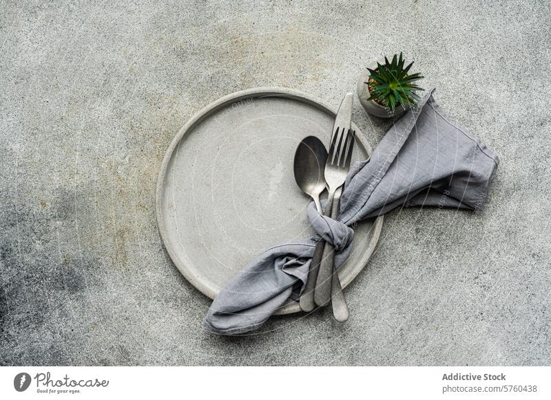 Top view of elegant, minimalist table setting featuring a simple ceramic plate, silver cutlery wrapped in a grey napkin, and a small succulent plant adding a touch of greenery