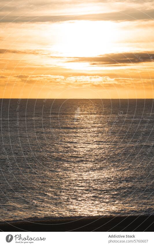 The golden sun rises over the horizon, casting a warm glow on the tranquil waters off the coast of Iceland sunrise Icelandic sea ocean morning light reflection
