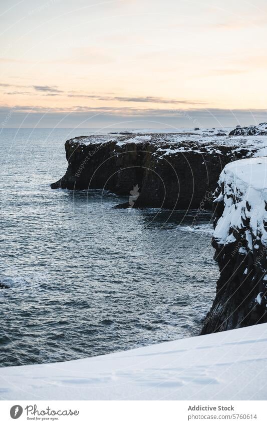 The dusk light softens the scene where snow-clad cliffs dramatically descend into the dark waters of the Icelandic sea during winter snowy landscape nature