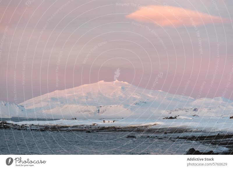 A soft pink sky at dusk sets a peaceful scene over a vast, snow-covered mountain in the tranquil wilderness of Iceland pastel sky snow-capped Icelandic sunset
