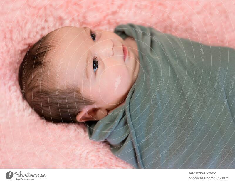 One week old newborn baby girl serene wrapped blanket pink texture soft background infant child cute peaceful cozy warm swaddle care comfort newborn photography
