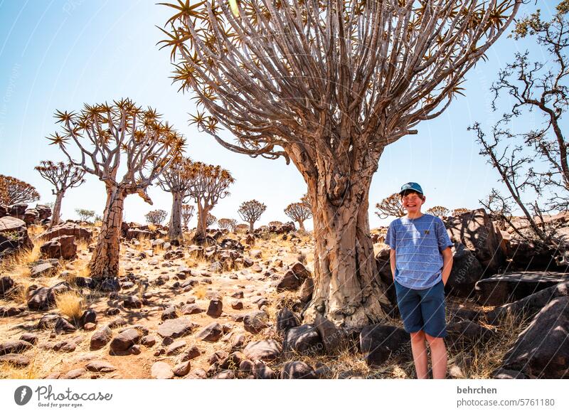 the tree, my friend Wanderlust Warmth Adventure Family Infancy Child Son Keetmanshoop Plant Far-off places Impressive especially Sky Nature Vacation & Travel
