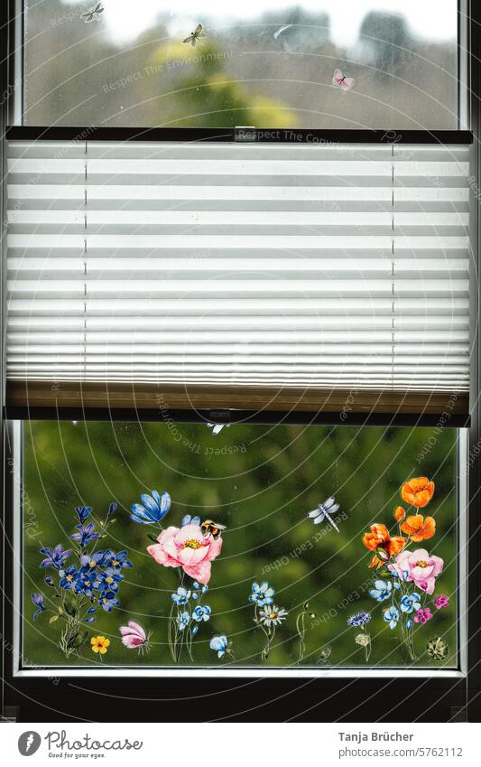 Flowery view from the window window picture Window pictures view outside colourful flowers Spring flowers at the window Flowers at the window Window pane