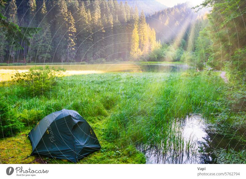 Green tent near forest lake camping landscape morning nature sunset new beautiful light autumn water wallpaper upstate travel pine beauty tree green river