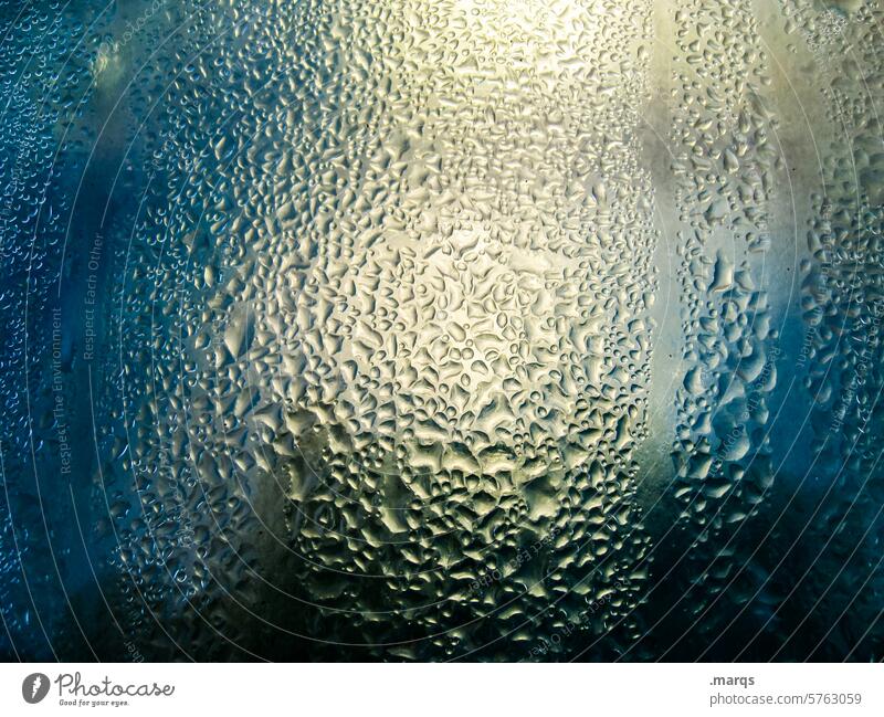 condensed Water Condense Drops of water Wet Window Window pane Condensation Abstract Damp Physics Weather Dew Glass Pane Light (Natural Phenomenon) Misted up