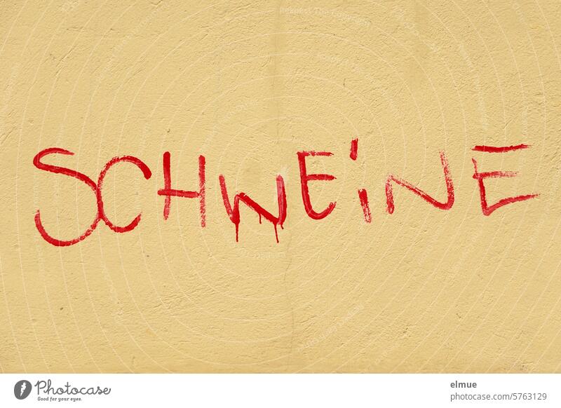 SCHWEINE is written in red on a house wall Swine pigs Cuss word Graffiti Anger Insult Frustration Animosity Aggression Emotions Blog Embitterment Argument Moody