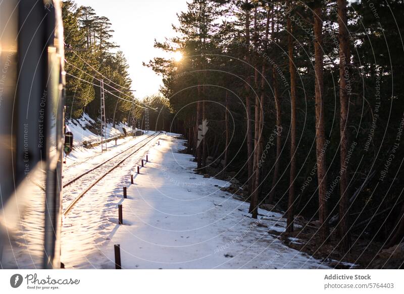 Sunset over snowy railway tracks in pine forest sunset tranquil nature outdoors winter scenery sunlight trees journey travel railroad evening golden hour