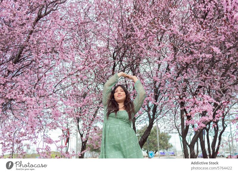 hands up by woman in blooming cherry blossom trees gesture pink green dress spring nature outdoor beauty flower branch love romantic scenic peaceful tranquility