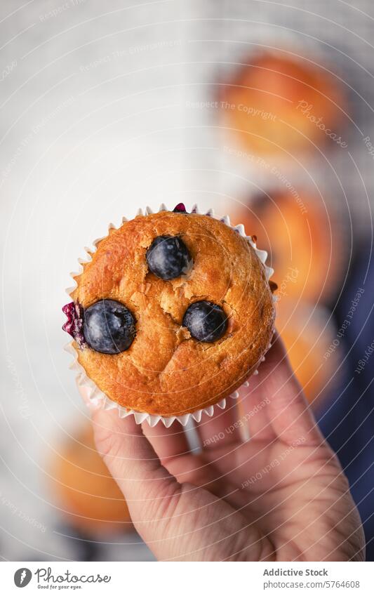 Freshly baked blueberry muffin in hand baking close-up pastry dessert fresh homemade snack bakery food cake tasty confectionery sweet fruit cupcake gourmet grip