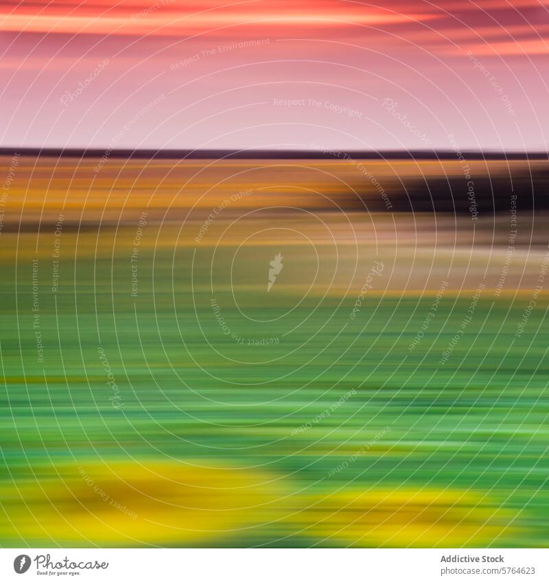 Abstract blur of sunflower fields at sunset abstract guadalajara spain landscape vibrant color motion agriculture rural scenic beauty outdoor summer flora farm