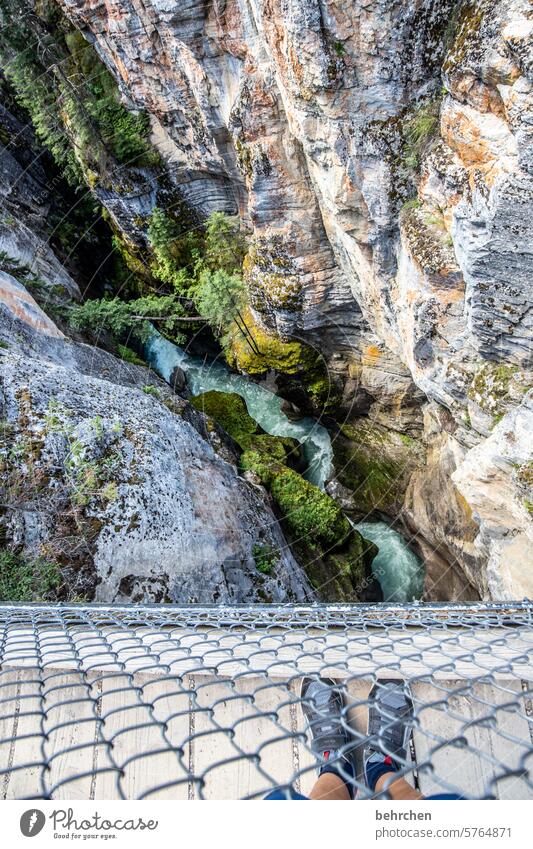 grit your teeth | and stare into the abyss height Tall Unafraid of heights Giddy maligne canyon Steep depth Deep Riverbed Canyon Alberta Jasper national park