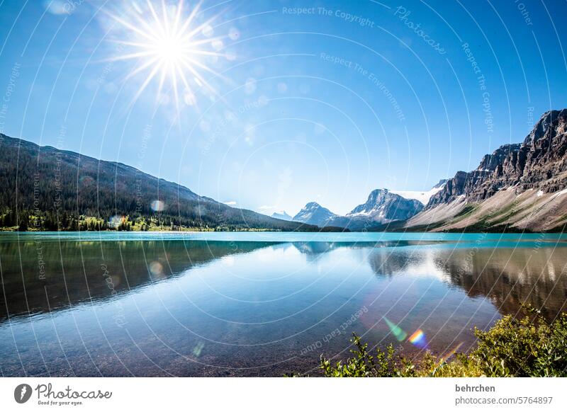 To rest in oneself Alberta Adventure Freedom Lake Landscape Exterior shot Nature especially Rocky Mountains Canada North America Colour photo Fantastic