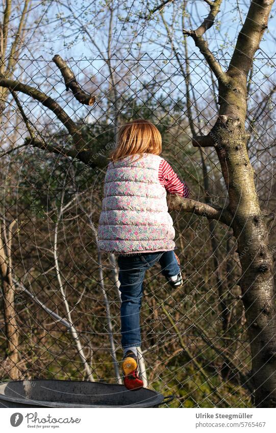 A child climbs a tree in spring Spring Life with children Tree Nature Exterior shot Child playing in the garden red hair Joy Infancy Summer Winter is over Happy