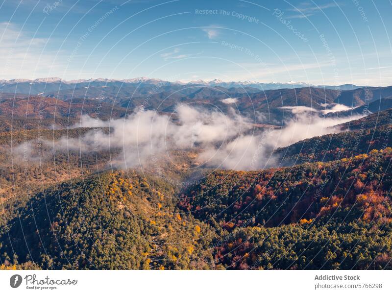 A breathtaking view of the misty Irati Forest in autumn, with the majestic Pyrenees and Larrau Pass in the distance, showcasing the natural beauty of Navarre