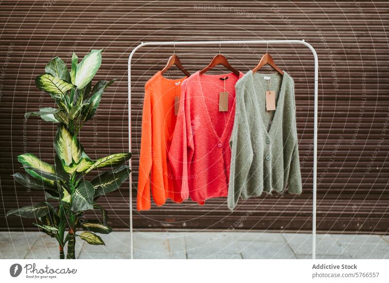 A colorful gradient from bright orange to soft green cardigans displayed on a white clothing rack next to lush greenery cozy fashion boutique shopping garment