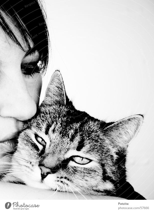 Tender Cat Woman Human being Black & white photo Eyes