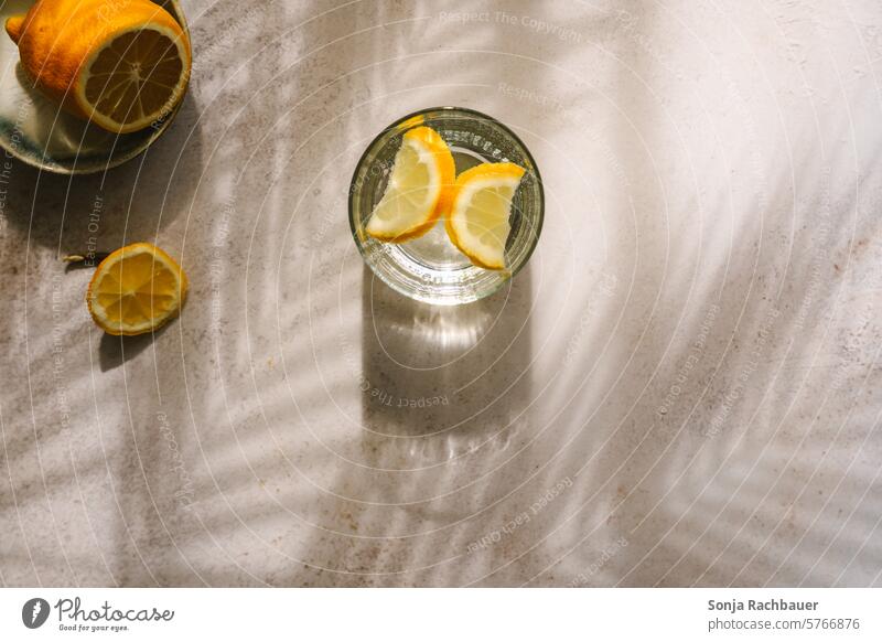 A glass of water with lemon Tumbler Lemon Beverage Drinking water Cold drink Colour photo Fresh plan Visual spectacle Healthy Water Thirst Refreshment Fluid