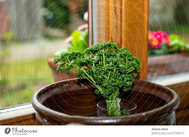 Parsley stands in front of a wooden window showing a garden in a blur Window kitchen window Garden outlook boil Nutrition Herbs and spices Food Healthy Fresh