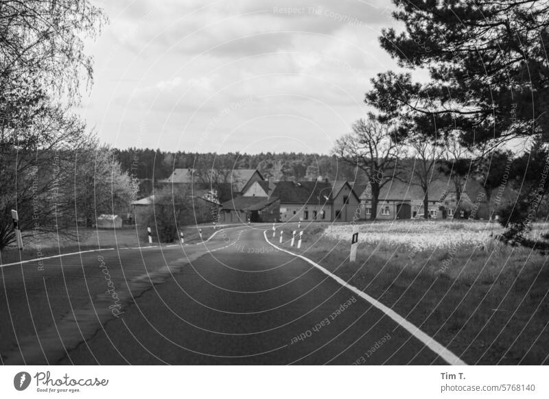 Road to the village Street Village b/w Spring Brandenburg Country road Deserted Exterior shot Day Black & white photo Calm Loneliness Avenue B&W B/W