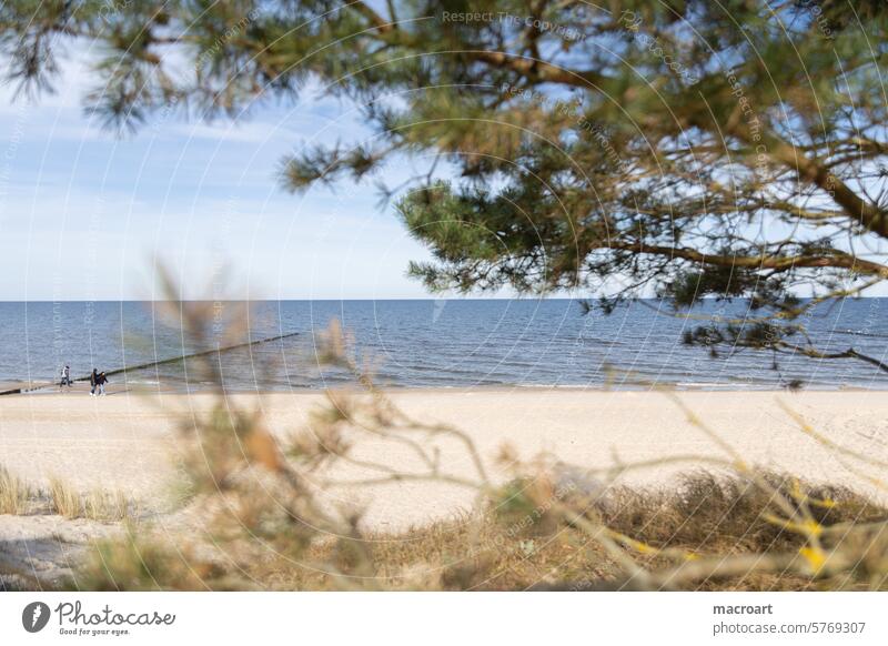 Baltic Sea beach -behind the dunes during the day in spring with sunshine Beach Baltic beach Koserow tranquillity Calm Gale stormy Sandy beach
