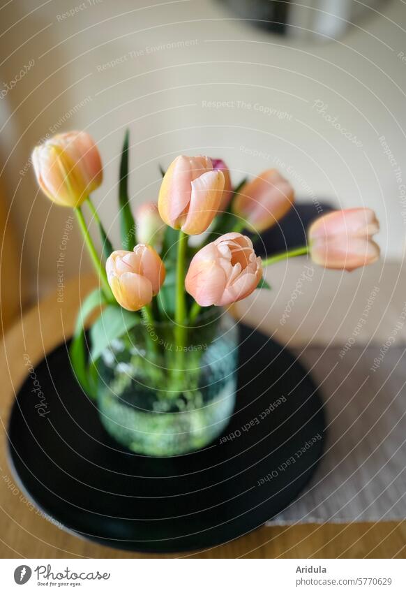 pink tulips in a vase Pink Ostrich Bouquet bouquet of tulips Spring Vase Table Flower Blossom Tulip Plant flowers Decoration Spring fever pretty Tulip blossom