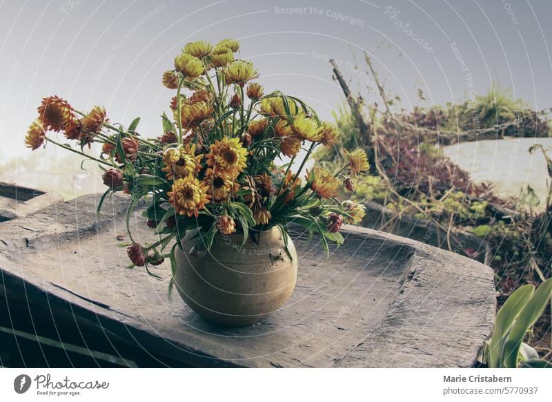 A rustic vase with yellow flowers on an old outdoor table during a cold foggy springtime morning slow living cottagecore aesthetic bloom vintage still life