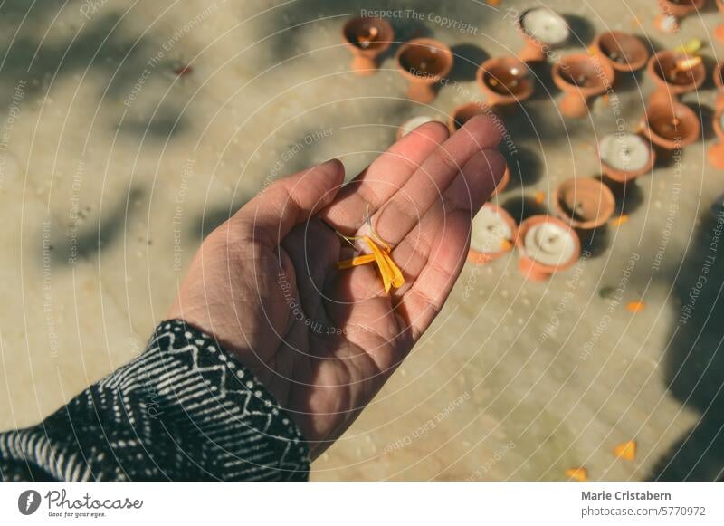 Overhead view of a hand holding several petals from a marigold garland over several tea candles, showing sacred offerings during a Hindu religious ritual
