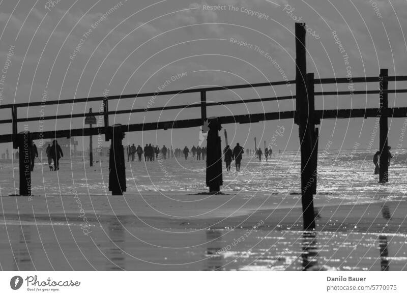 People walk along the beach. Beach pier To go for a walk Landscape Water coast Ocean Tourism Lake dwelling Sea bridge North Sea