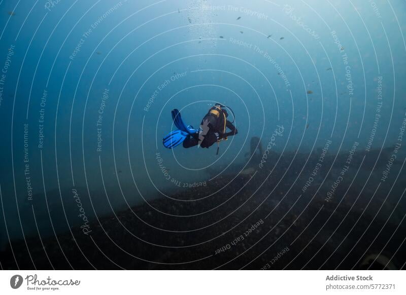 Scuba diver exploring underwater shipwreck scuba diver ocean murky depth swim exploration blue fin adventure marine aquatic sea mysterious solitude dive gear