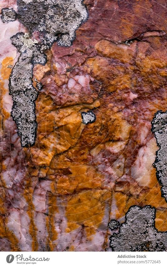 Silica and Quartz Rocks with Colorful Nickel Formations rock texture silica quartz nickel formation earth tone vibrant abstract background natural geology