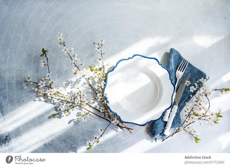 Spring table setting with cherry blossoms and sunshine spring light elegant nature white plate blue trim branch flower petal soft shadow utensil knife fork