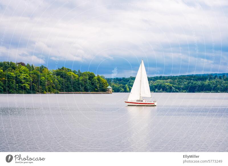 Sailing boat on the Möhnesee Möhnesee Lake Sailboat Sailing ship Vacation & Travel Adventure Sailing trip Freedom Körbecke Lakeside cloudy Weather windy Wind