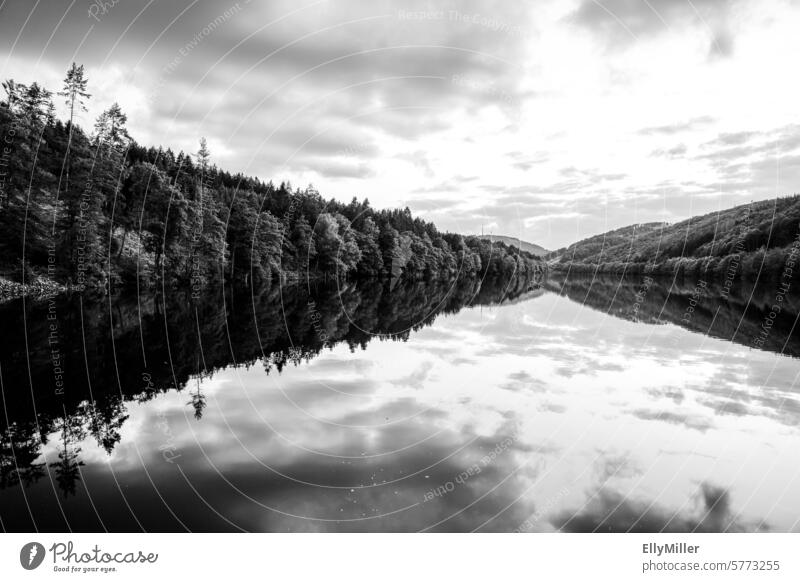 Reflection at the Oestertal dam near Plettenberg River dam Nature Landscape Lake Water Sky Reservoir Forest Clouds reflection Lakeside Black Deserted Calm