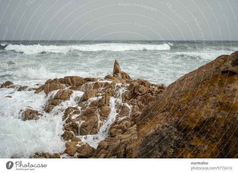 Rough middle sea Mediterranean sea Waves Italy Sardinia Rock Dilution Wind Gale Weather Climate vacation Nature Force of nature White crest Far-off places West