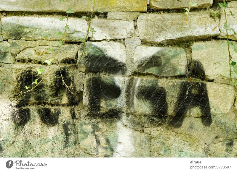 MEGA is written in black capital letters on a stone wall mega super Graffiti Prefix laud Stone wall Millions of times Daub youth language Design Blog Massive