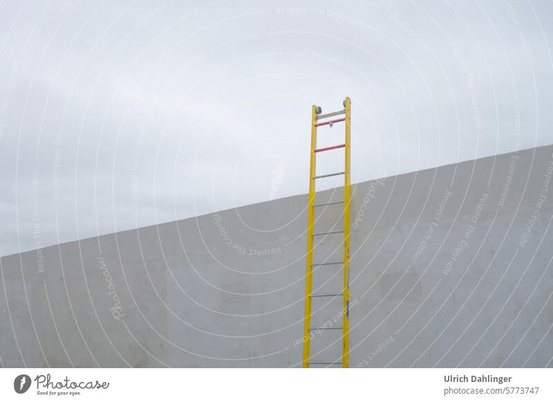 Yellow ladder leans against a gray wall and towers into the sky Wall (barrier) Ladder Gray Target Hope Brave venture Copy Space top Copy Space bottom Resolve